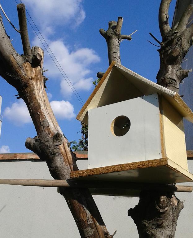 La Casa Di Emma Bed and Breakfast Rozzano Εξωτερικό φωτογραφία